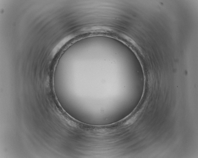 X0000073931066200609011828