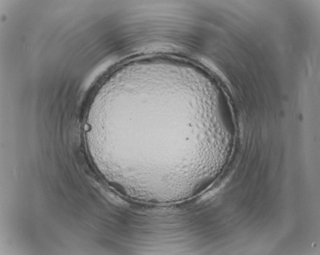 X0000073931067200609011828