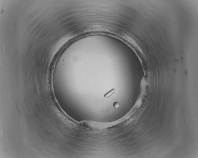 X0000073931068200609011828