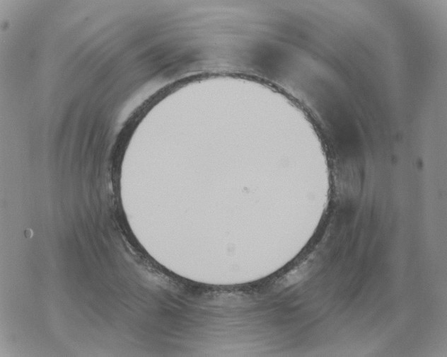 X0000073931070200609011828