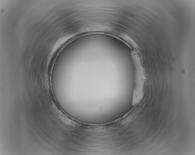 X0000073931072200609011828