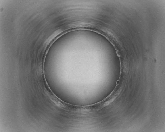 X0000073931073200609011828