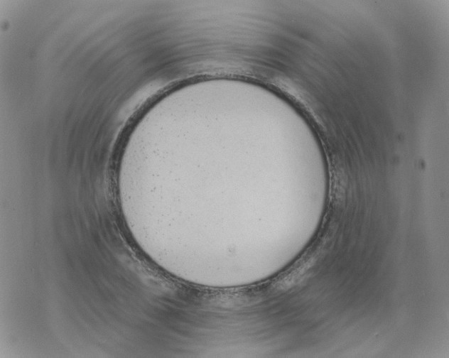 X0000073931074200609011828