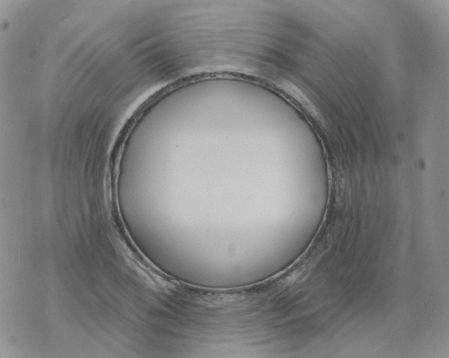 X0000073931076200609011828