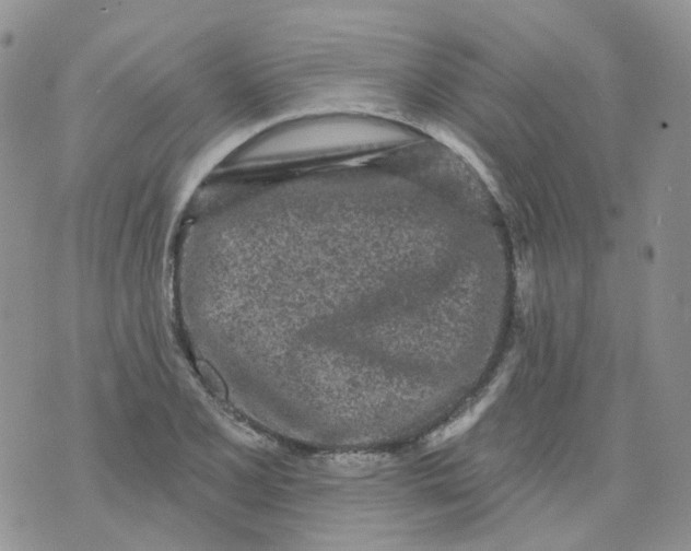 X0000073931077200609011828