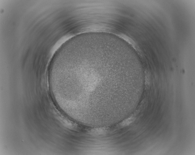 X0000073931078200609011828