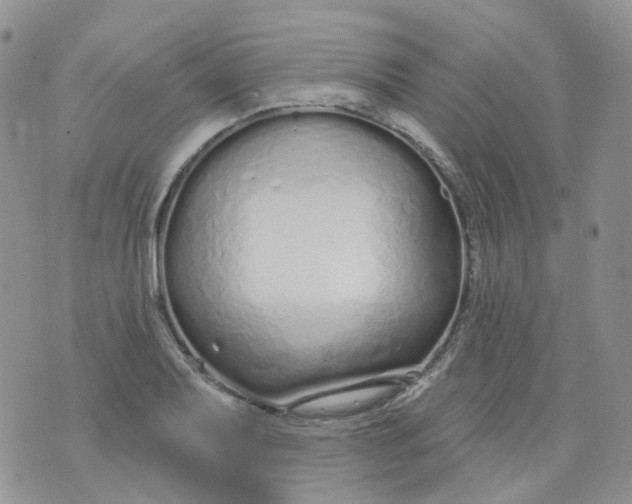 X0000073931079200609011828