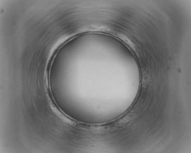 X0000073931080200609011828