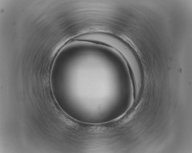 X0000073931081200609011828