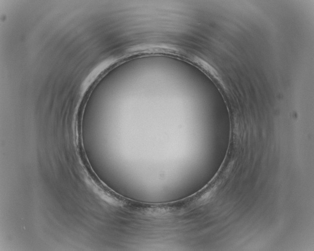 X0000073931082200609011828