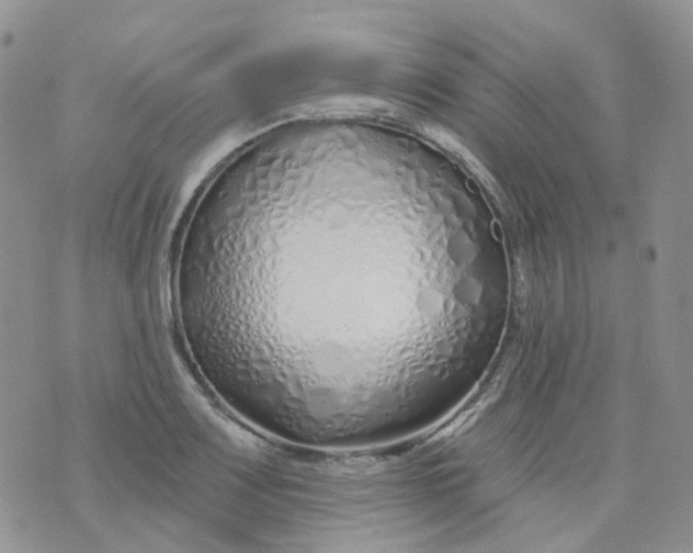 X0000073931083200609011828