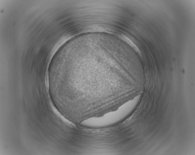 X0000073931084200609011828