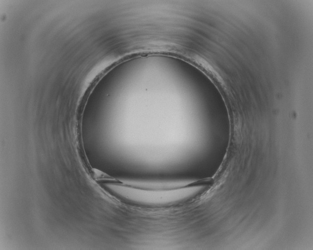 X0000073931085200609011828