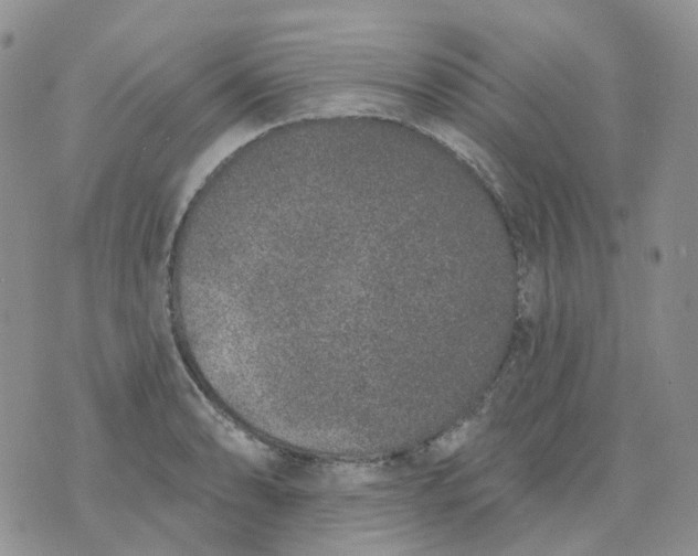 X0000073931086200609011828