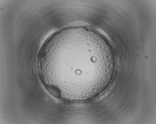 X0000073931087200609011828