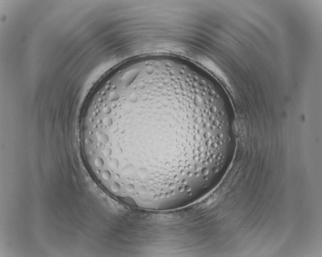 X0000073931088200609011828