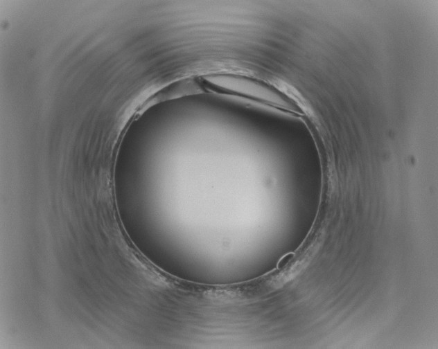 X0000073931089200609011828