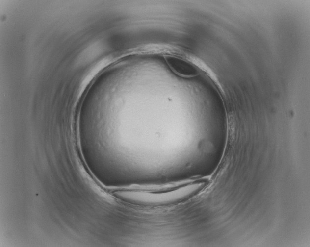 X0000073931091200609011828