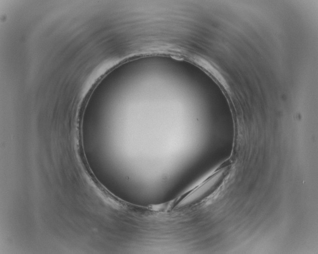 X0000073931093200609011828