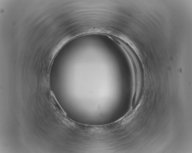 X0000073931097200609011828