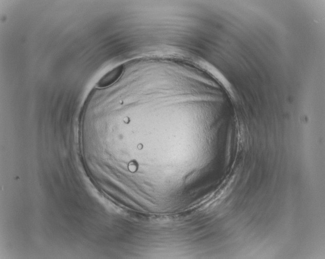 X0000073931099200609011828