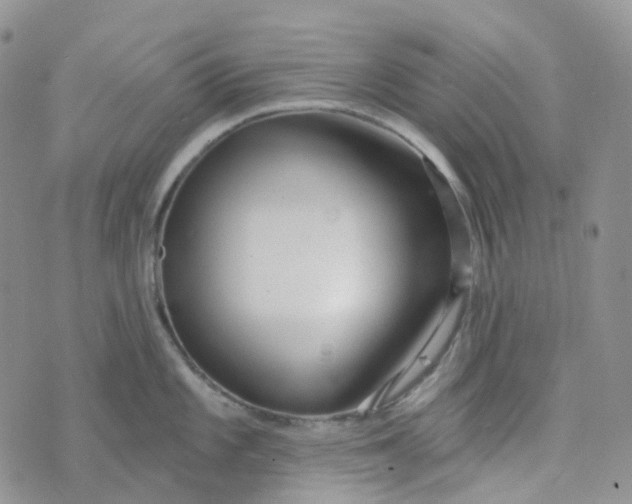 X0000073931101200609011828