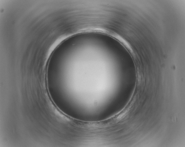 X0000073931102200609011828