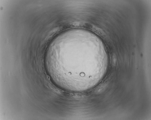 X0000073931105200609011827