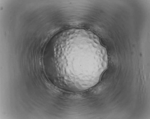 X0000073931106200609011827