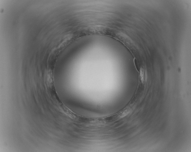 X0000073931107200609011827