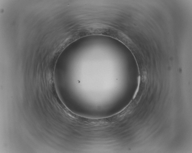 X0000073931108200609011827