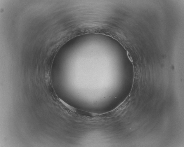 X0000073931109200609011827