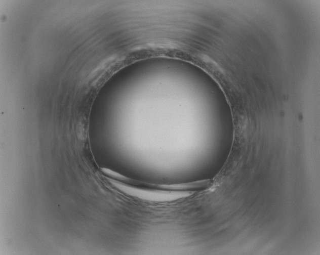 X0000073931110200609011827