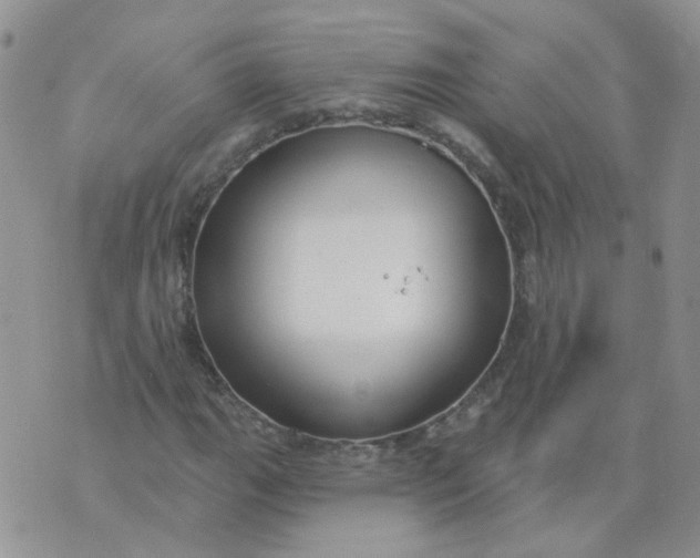 X0000073931111200609011827