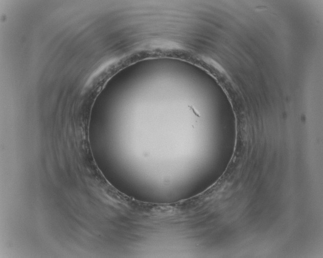 X0000073931112200609011827