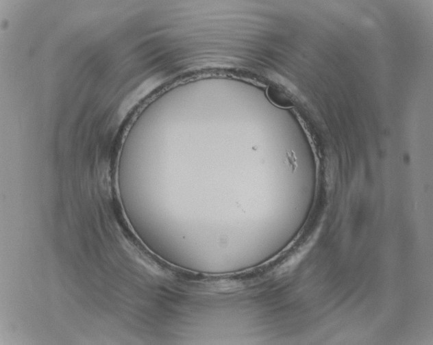 X0000073931113200609011827