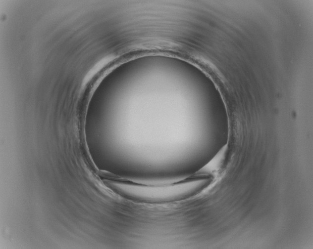 X0000073931114200609011827