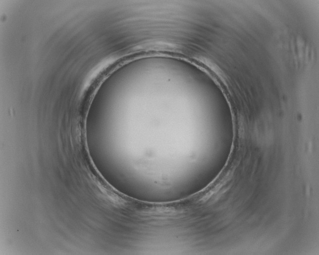 X0000073931115200609011827