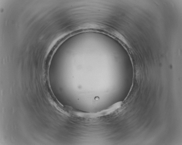 X0000073931116200609011827