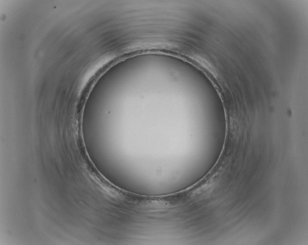 X0000073931119200609011827