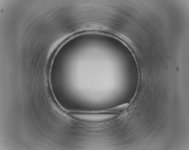 X0000073931120200609011827