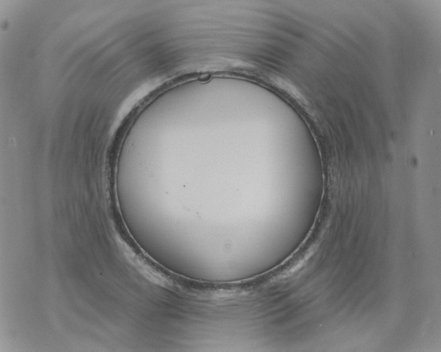 X0000073931122200609011827