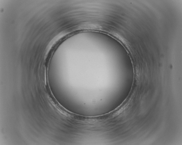 X0000073931123200609011827