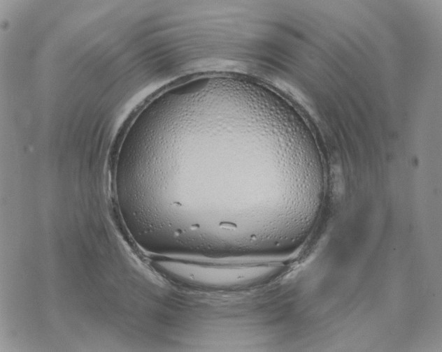 X0000073931125200609011827