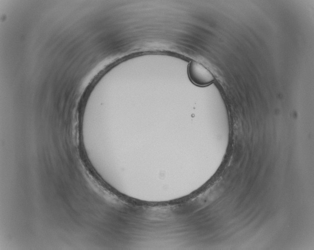 X0000073931126200609011827