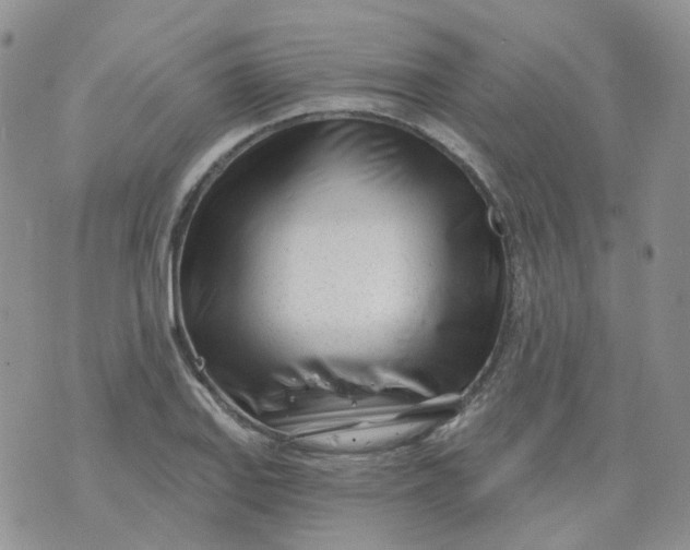 X0000073931127200609011827