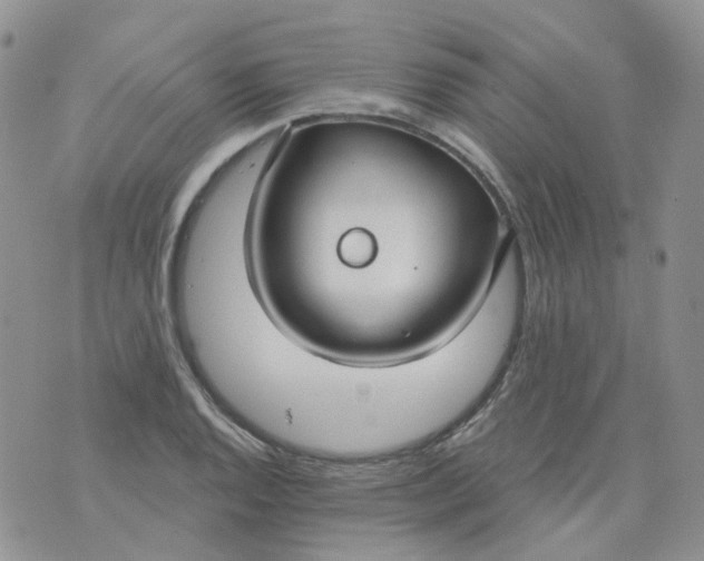 X0000073931128200609011827