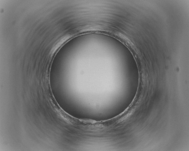 X0000073931129200609011827