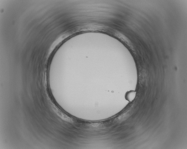 X0000073931130200609011828