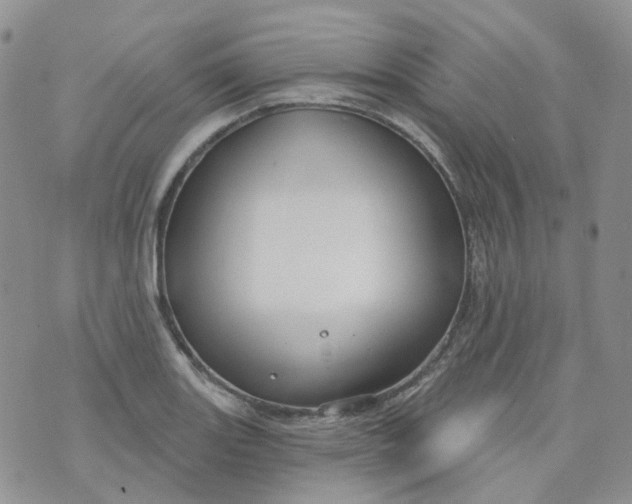 X0000073931131200609011828